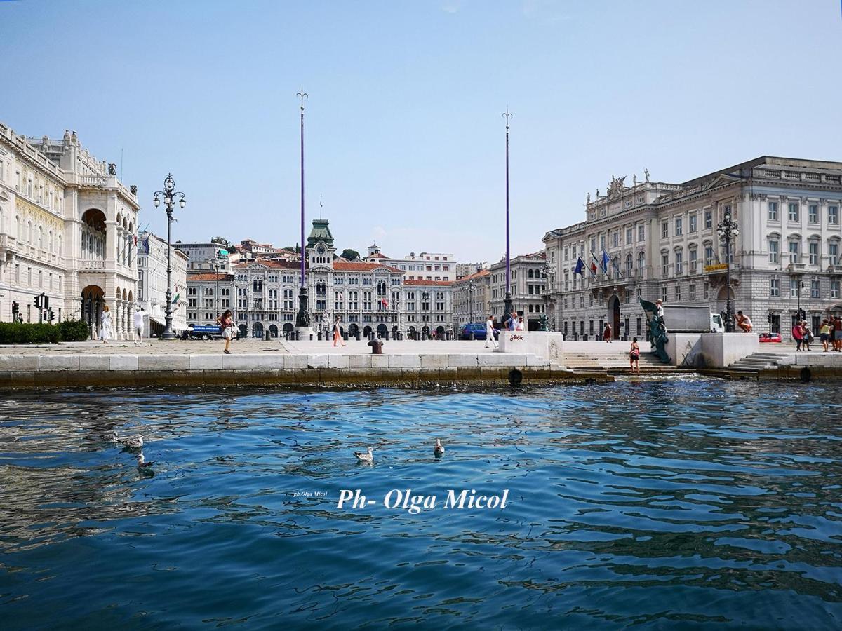Comfortable&Friendly Apartment Trieste Extérieur photo